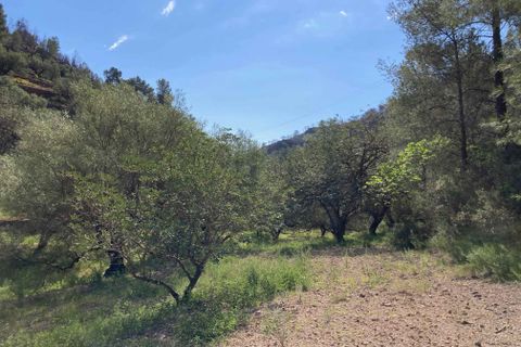 Landejendom i El Perello, Tarragona, El Perello - € 36.000 | Ref: Finca Montanas - foto 37